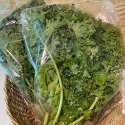 Organic Kale