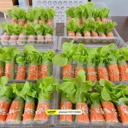 สลัดโรล By Rinlada