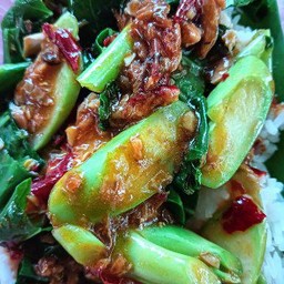 คะน้าปลากระป๋องราดข้าว