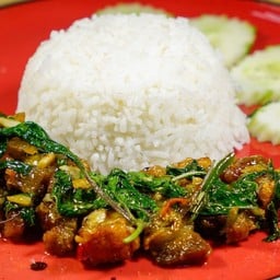 ข้าวกระเพราหมูกรอบ