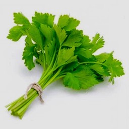 ตั้งโอ๋