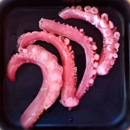 หนวดหมึก