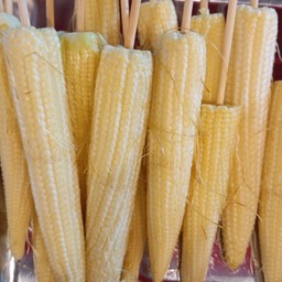 ข้าวโพดอ่อน