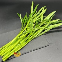 ผักบุ้ง 空心菜