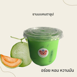 หมีติดนม