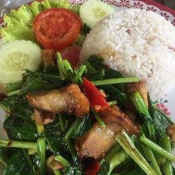 ข้าวราดคะน้าหมูกรอบ