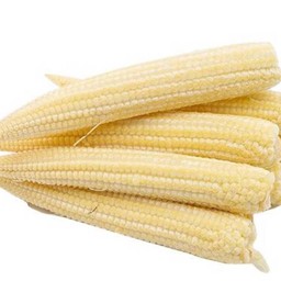 ข้าวโพดอ่อน