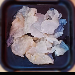 แมงกะพรุน