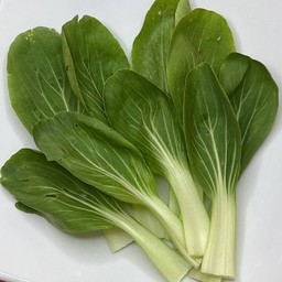 ฮ่องเต้