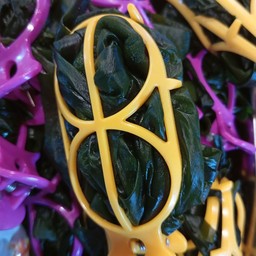 สาหร่ายวากาเมะ