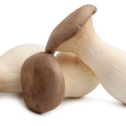 เห็ดออรินจิ