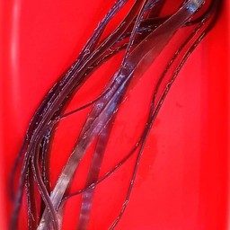 เส้นใหญ่จีน