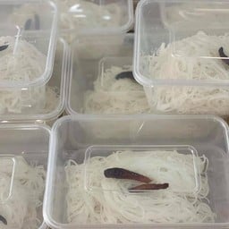 ขนมจีนเปล่า(กลาง)