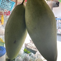 ตำมะม่วง