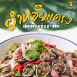 MENU_1003656cj_1706253403