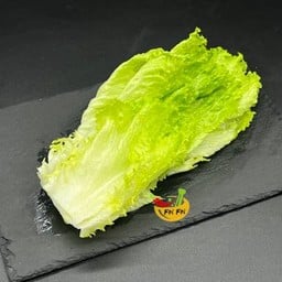 ผักสลัดจีน 中国生菜