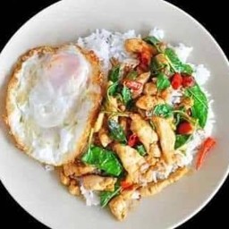 กะเพราไก่