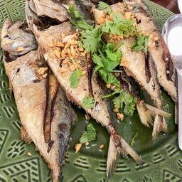 ปลาทูทอดราดน้ำปลา