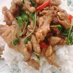 ข้าวกะเพราหมูชิ้น