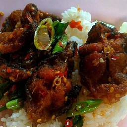 ข้าวราดพริกแกงปลาดุกทอดกรอบ