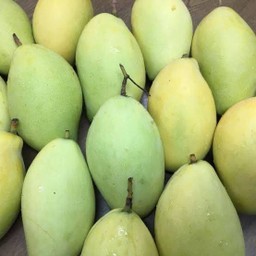 มะม่วงแก้วขมิ้น 1 กิโล