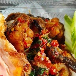 ข้าวราดกะเพราปลาดุกทอดกรอบ