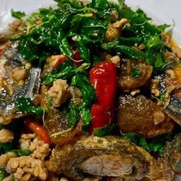 ข้าวกระเพราไข่เยี่ยวม้าหมูสับ