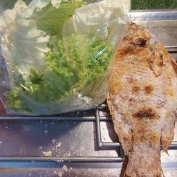 ล้านตัวเมี้ยงปลาเผา