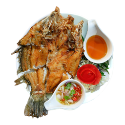 ปลากะพงทอดน้ำปลา(ตัว)