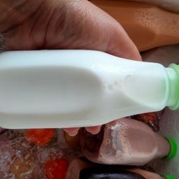 โคตรปัง