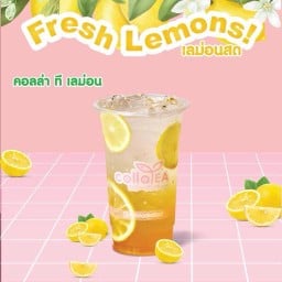 คอลล่าทีเลม่อน Deli