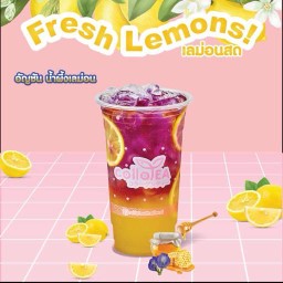 อัญชันน้ำผึ้งเลม่อน