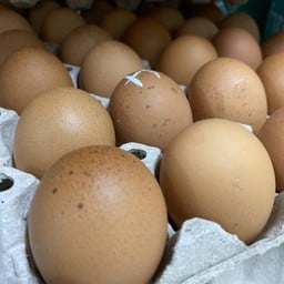 ไข่ไก่สด