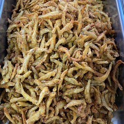 ปลากรอบ