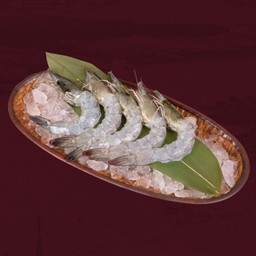 SHRIMP