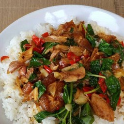 ข้าวกระเพราคอหมูย่าง