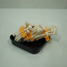 เห็ดหลินขาว