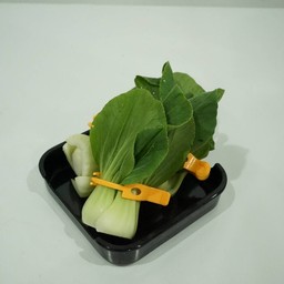 กวางตุ้งฮ่องเต้