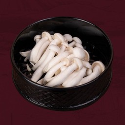 White Shimeji Mushroom