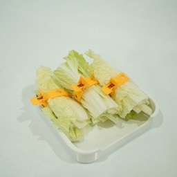 ผักกาดขาว