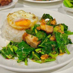 ข้าวราดคะน้า /มีตัวเลือก