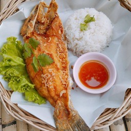 ข้าวปลากระพงครึ่งตัว + กะหล่ำปลีผัดน้ำปลา