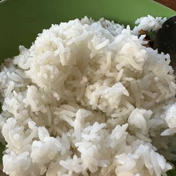 Steamed Jasmine Rice