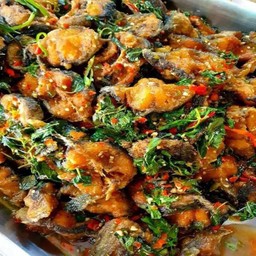 กระเพราโจรปลาดุก (กับข้าว)