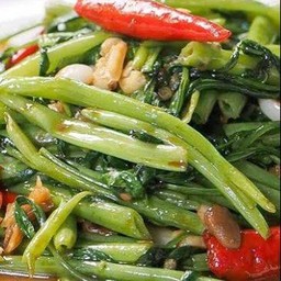 ผัดผักบุ้ง