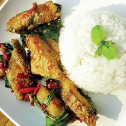 ข้าวกะเพราปลากะพง