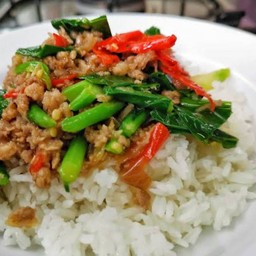 ข้าวคะน้าหมูชิ้นราดข้าว