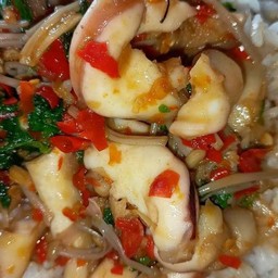 กระเพราปลาหมึกราดข้าว