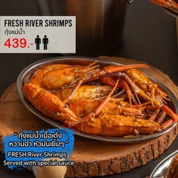 กุ้งแม่น้ำ