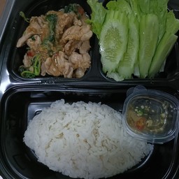 ข้าวกะเพราหมูชิ้น